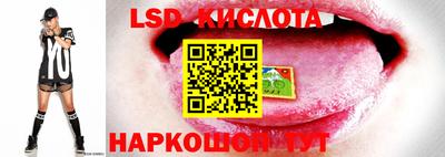 эйфоретик Обнинск