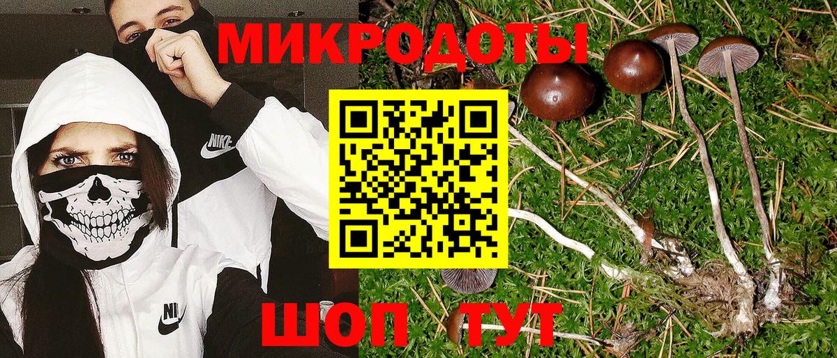 Псилоцибиновые грибы Psilocybe  Вход с VPN  Псилоцибиновые грибы прущие грибы  Учалы 